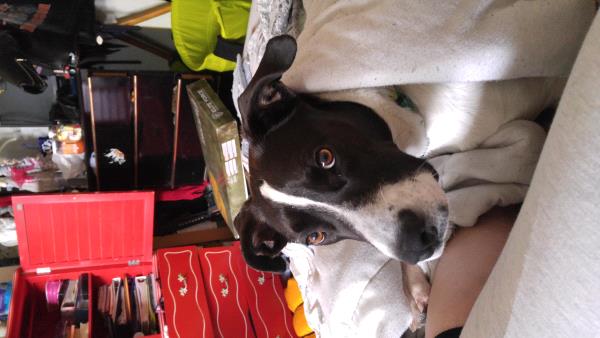 /Images/uploads/Humane Society of Utah/HSUCalendar/entries/781thumb.jpg